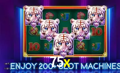 Seasonal Promotions 75x